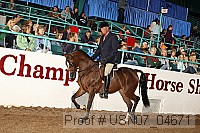 usn07_04671 proof
