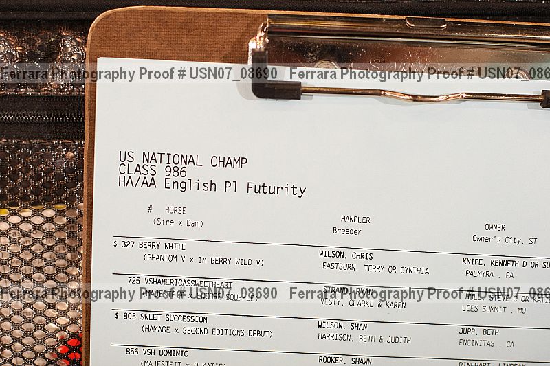 Proof usn07_08690