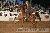 usn07_08701 proof