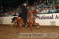 usn07_08703 proof