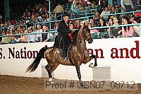 usn07_08712 proof