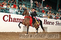 usn07_08731 proof