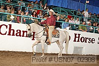 usn07_02308 proof