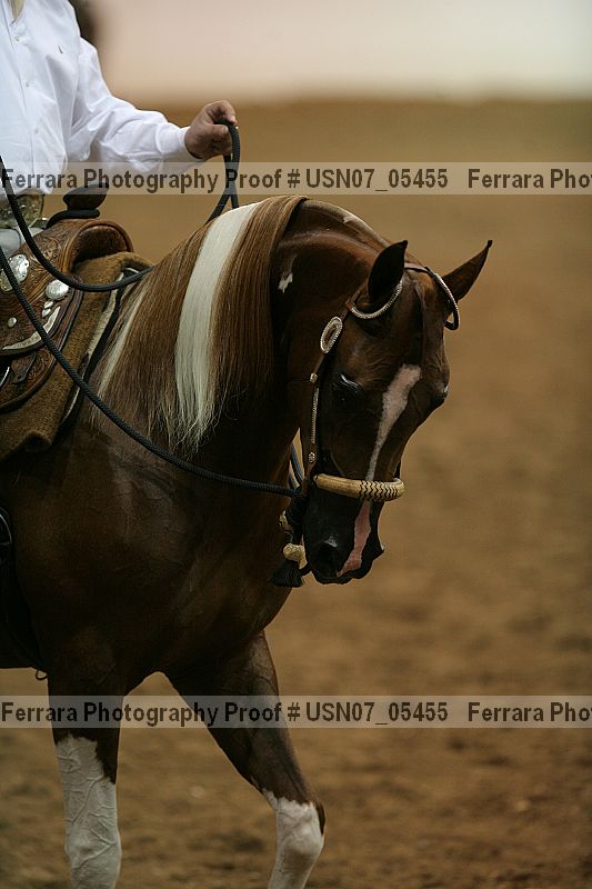 Proof usn07_05455