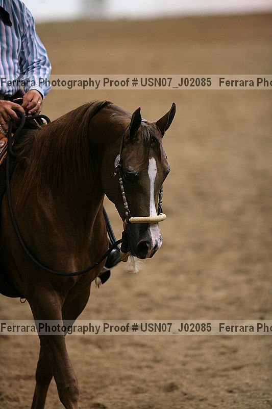 Proof usn07_j02085