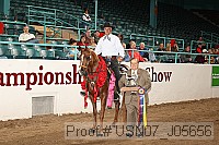 usn07_j05656 proof