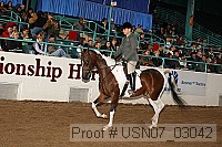 usn07_03042 proof