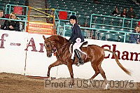 usn07_03075 proof