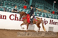 usn07_j06529 proof
