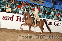 usn07_j01268 proof
