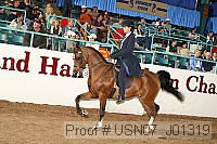 usn07_j01319 proof