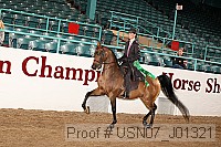 usn07_j01321 proof