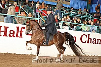 usn07_04586 proof