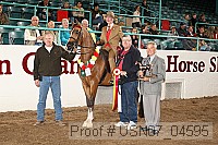 usn07_04595 proof