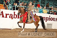 usn07_04606 proof