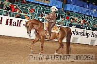 usn07_j00294 proof
