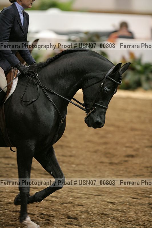 Proof usn07_00808