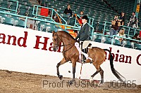 usn07_j00485 proof