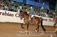 usn07_j02737 proof