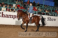 usn07_01703 proof