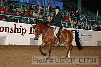 usn07_01704 proof