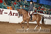 usn07_01723 proof