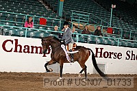 usn07_01733 proof