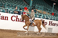 usn07_j01290 proof
