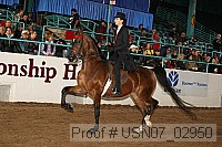 usn07_02950 proof