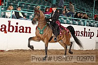 usn07_02970 proof