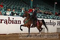 usn07_02975 proof