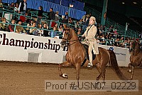 usn07_02229 proof