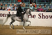 usn07_03731 proof