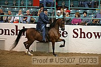 usn07_03733 proof