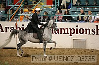 usn07_03735 proof