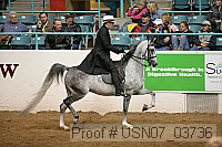 usn07_03736 proof