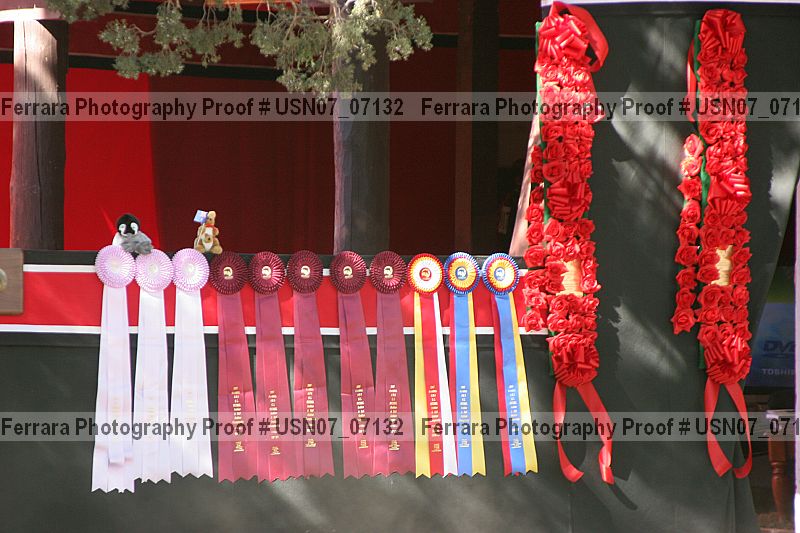 Proof usn07_07132