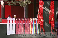 usn07_07132 proof