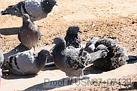 usn07_07139 proof