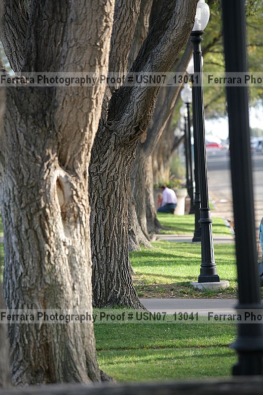 Proof usn07_13041
