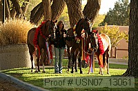 usn07_13061 proof
