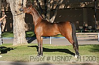 usn07_j11200 proof