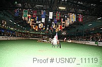 usn07_11119 proof