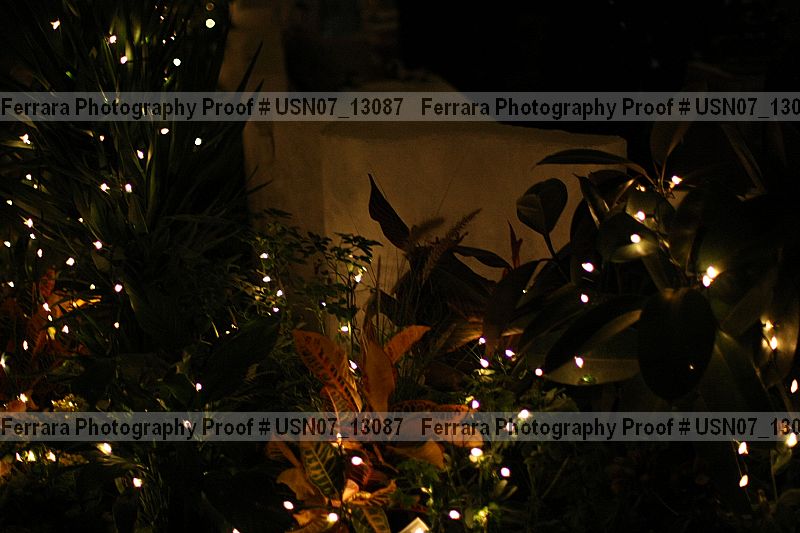 Proof usn07_13087
