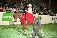 usn07_13128 proof
