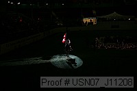usn07_j11208 proof