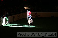usn07_j13204 proof