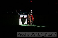 usn07_j13217 proof