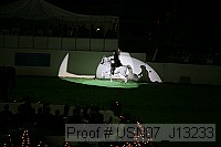 usn07_j13233 proof