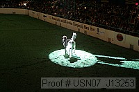 usn07_j13253 proof